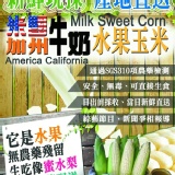 正宗牛奶水果玉米 特價：$199