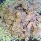 赤肉羹 純手工赤肉羹