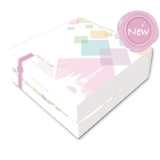 巴黎方塊泡芙禮盒 幸福烘焙2012年巨獻-巴黎方塊泡芙全新上市