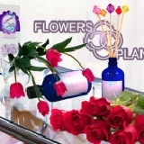 沙龍第一品牌 Flowers&Plants【保加利亞玫瑰水竹擴香精油】 100ml團購價350元 / 頂級進口精油 / 贈五彩鑽珠開運擴香竹 / 居家香氛 / 愉悅放鬆 特價：$500