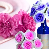 Flowers&Plants 愛戀花草【 日本紫櫻花 天然擴香精油( 幸福捧花系列 ) 】 頂級天然進口精油 / 贈幸福擴香花束 / 居家香氛 / 愉悅放鬆 / 浪漫情趣 特價：$298