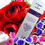 Flowers&Plants 愛戀花草【 保加利亞玫瑰 左旋C美白洗面乳 120ML 】 保加利亞玫瑰原萃精華 / 左旋C / 洗臉+美白 / 深層清潔 / 水嫩保濕 / 溫和不緊繃 特價:$158 Flowers&Plants 愛戀花草【 保加利亞玫瑰 左旋C美白洗面乳 120ML 】 保加利亞玫瑰原萃精華 / 左旋C / 洗臉+美白 / 深層清潔 / 水嫩保濕 / 溫和不緊繃 特價:$158