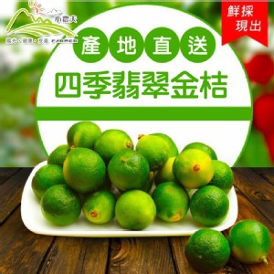 預購小農夫 台南新鮮四季翡翠金桔