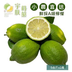 預購【宇朕蒔果】100%台灣農民直配A級有籽檸檬