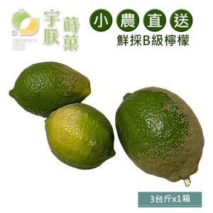 免運!預購【宇朕蒔果】100%台灣農民直配B級有籽檸檬 3台斤/箱