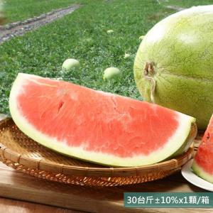 【金山水果】花蓮玉里大西瓜