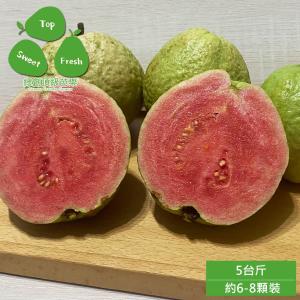 預購【綠創頂級芭樂】100%友善耕種 高雄大樹產地直送-紅鑽石芭樂5台斤