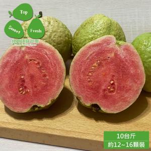 預購【綠創頂級芭樂】100%友善耕種 高雄大樹產地直送-紅鑽石芭樂10台斤