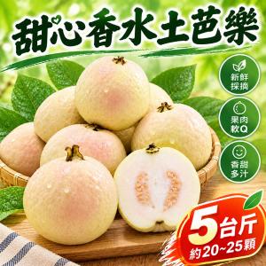 預購【香甜土芭樂果園】宜蘭頭城產地直送-甜心土芭樂5台斤