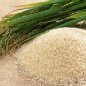 讓冷掉的飯~好吃的配方米~ 特價：$265