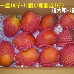 愛文芒果(已售完) 特價：$550