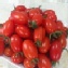 美女番茄-2斤