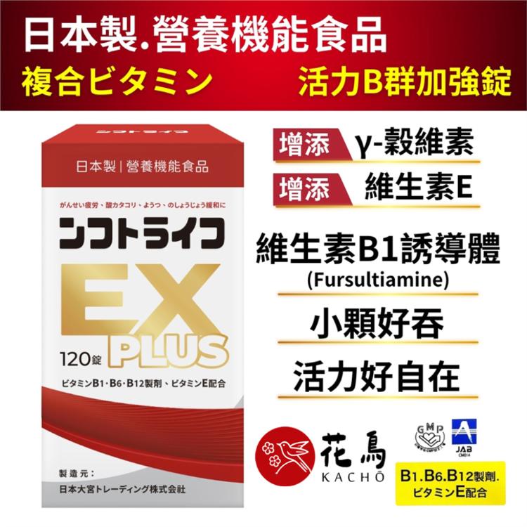 【花鳥KACHO】活力舒錠 活力B群