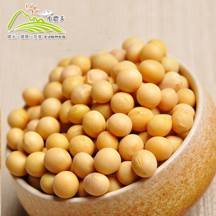 【小農夫】高雄10號-國產非基改黃豆
