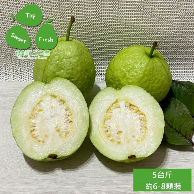 預購【綠創頂級芭樂】100%友善耕種 高雄大樹產地直送-珍珠芭樂5台斤