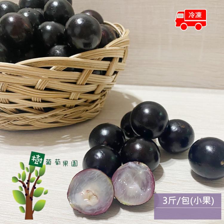 預購【樹葡萄果園】冷凍鮮採樹葡萄(3斤/包_小果_冷凍宅配_產地直送)