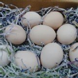 榮豐土雞蛋 含箱重約3斤4兩