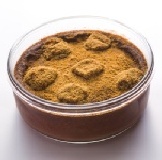 布蕾盆子-麻糬巧克