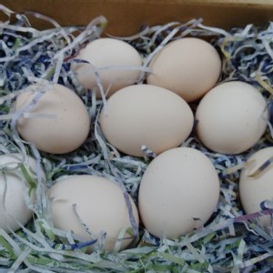 榮豐土雞蛋 含箱重約3斤4兩