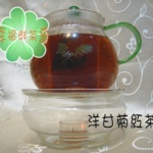 洋甘菊紅茶