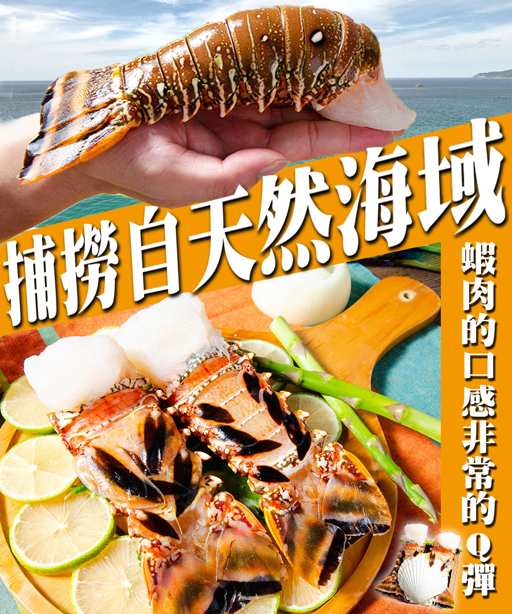 捕捞自天然海域,蝦肉的口感非常的Q彈。