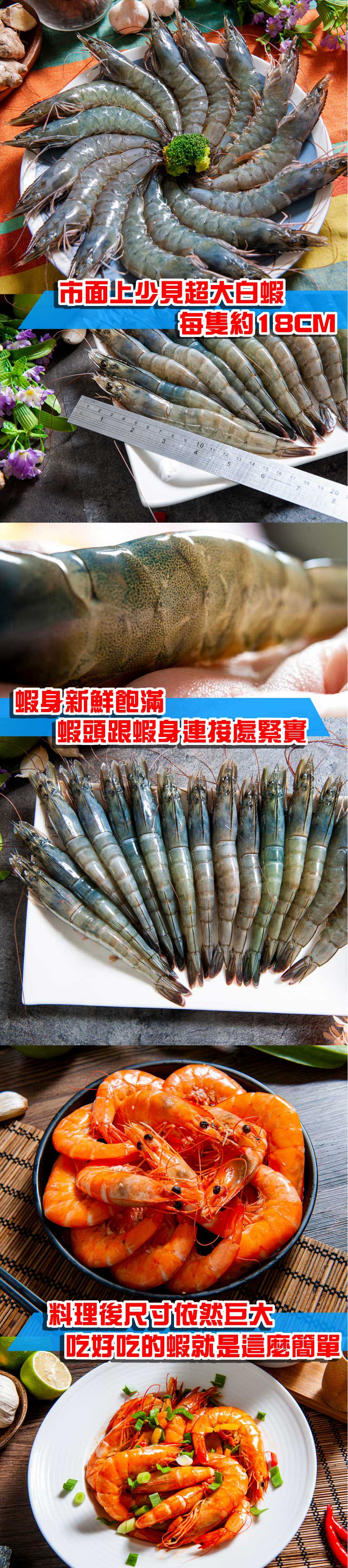 市面上少見超大白蝦，蝦身新鮮飽滿，每隻約18CM，蝦頭跟蝦身連接處緊實，料理後尺寸依然巨大，吃好吃的蝦就是這麼簡單。