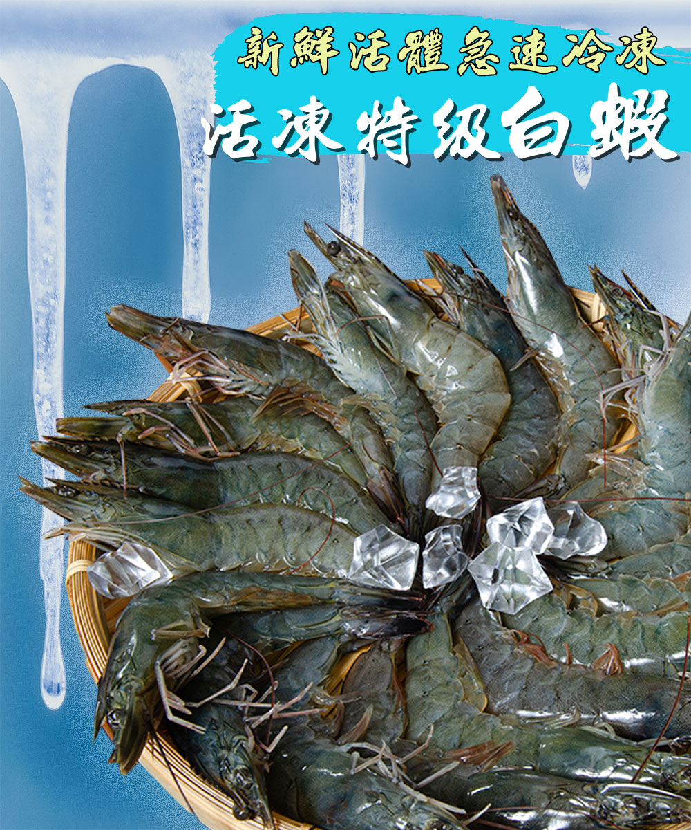 新鮮活體急速冷凍，活凍特级白蝦。