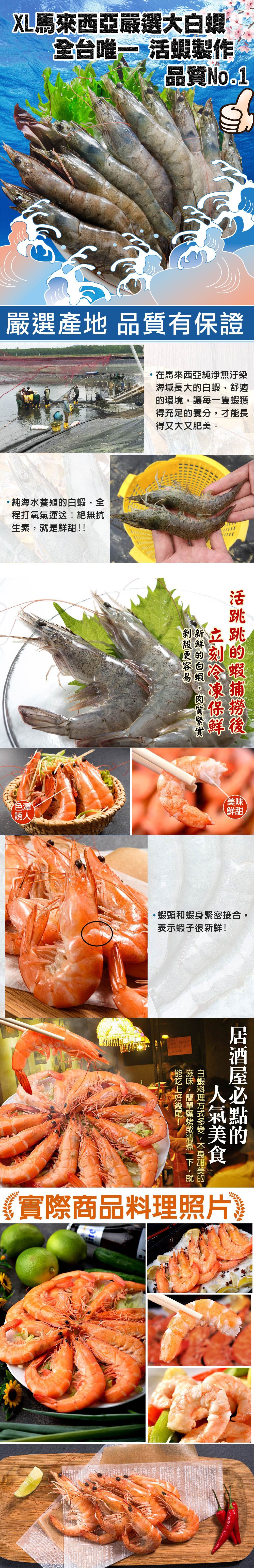 XL馬來西亞嚴選大白蝦，全台唯一 活蝦製作，品質No.1，嚴選產地 品質有保證，·純海水養殖的白蝦,全，程打氧氣運送!絕無抗，生素,就是鮮甜!!在馬來西亞純淨無汙染，海域長大的白蝦,舒適，的環境,讓每一隻蝦獲，得充足的養分,才能長，得又大又肥美。活跳