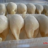 高麗菜鮮肉 水餃 試賣期間 一顆只要2.5元(一份40顆,100元)