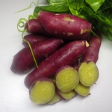 紫皮粟香地瓜 特價：$45