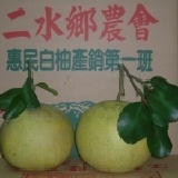 二水王家50年以上ㄟ老欉白柚(40斤/箱---1,150元含運)汁多香甜 產地直銷優惠價(40斤/箱---1,150元含運)--汁多香甜