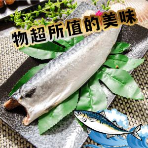 免運!【鮮綠生活】10片 挪威薄鹽鯖魚L 商品重量：200g-230g/片 淨重165~195G