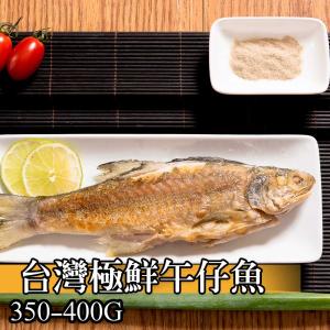 【鮮綠生活】台灣極鮮午仔魚(350-400克/尾)