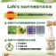 美國有機認證 Lafe’s Organic有機嬰兒防蚊液