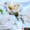 珍豪料溫州大餛飩-鮮蝦
