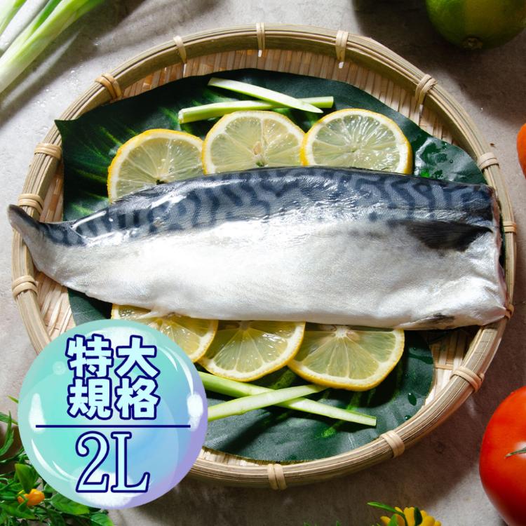 【鮮綠生活】挪威薄鹽鯖魚2L