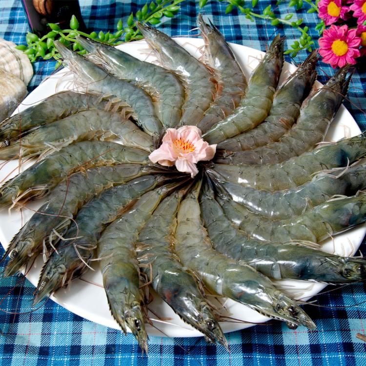 【鮮綠生活】野生活凍大白蝦31/40