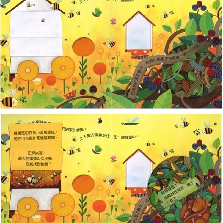 童書 偷偷看一下: 動物的家(硬頁書)