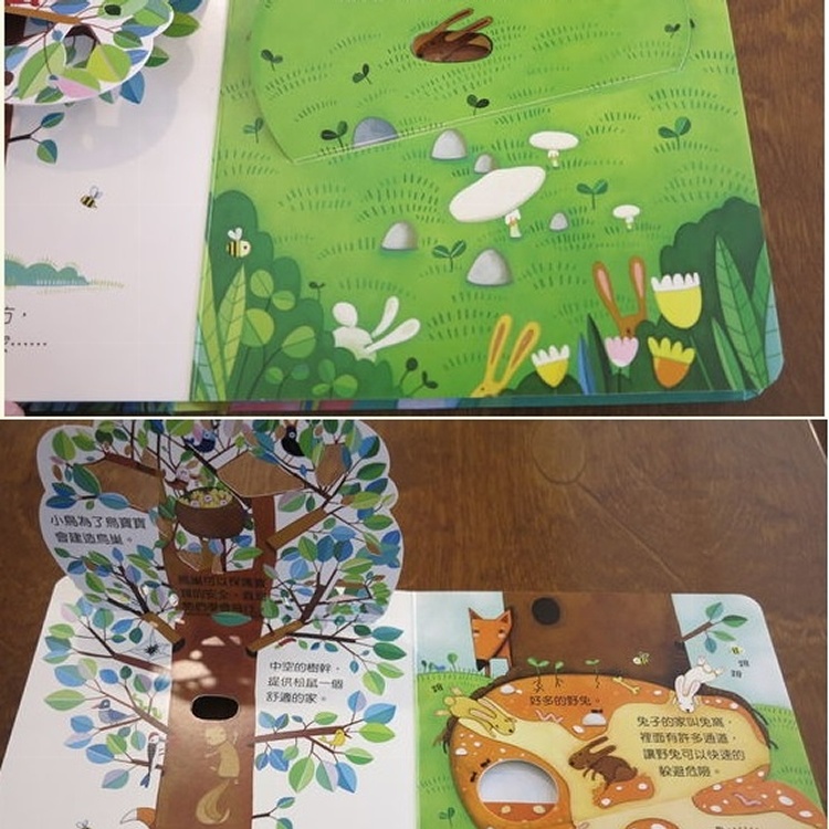 童書 偷偷看一下: 動物的家(硬頁書)