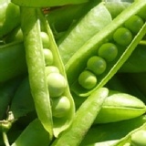 DoGa 香酥脆椒 碗豆仁