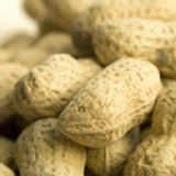 DoGa 香酥脆椒 花生米