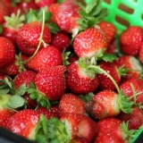 大湖草莓1.5kg 特價：$450