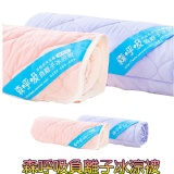 負離子萬用枕巾 特價：$1800