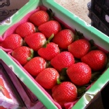香水草莓 特價：$260