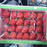 香水草莓 特價：$220