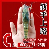 段泰國蝦精選 x C級 新手上路