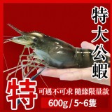 段泰國蝦精選 x 特級 特大公蝦