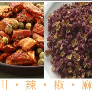 DoGa-香酥脆椒 川辣椒麻 特價：$140