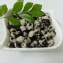 哇沙米青仁黑豆