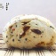 五穀雜糧饅頭 / 20入